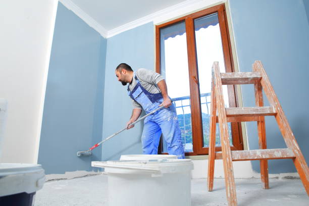 Best Basement Mold Removal  in Vcennes, IN